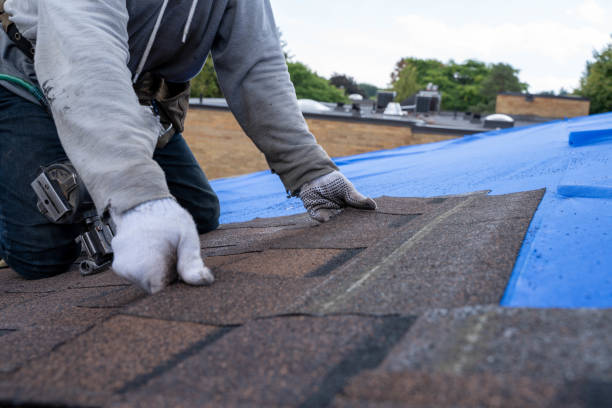 Sealant for Roof in Anacoco, LA